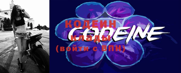 mdpv Заводоуковск