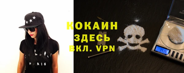 mdpv Заводоуковск