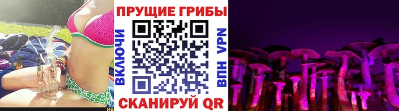 Галлюциногенные грибы MAGIC MUSHROOMS  Купить где  Калачинск 